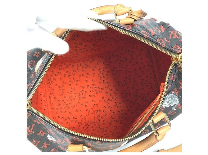 Louis Vuitton Monogram Catgram Cat Speedy Bandoulière 30NM Marrone Arancione - vista 12