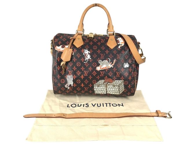 Louis Vuitton Monogram Catgram Cat Speedy Bandoulière 30NM Marrone Arancione - vista 2