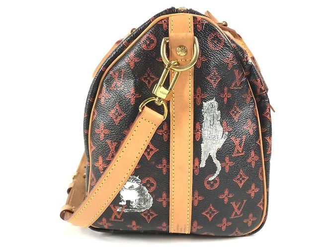 Louis Vuitton Monogram Catgram Cat Speedy Bandoulière 30NM Marrone Arancione - vista 4