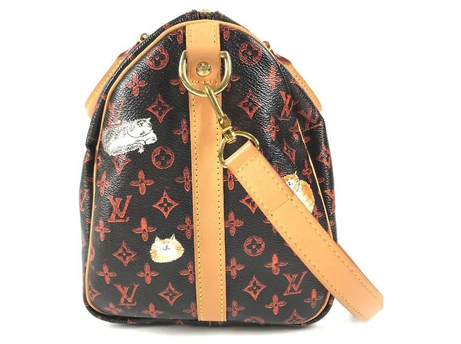 Louis Vuitton Monogram Catgram Cat Speedy Bandoulière 30NM Marrone Arancione - vista 5