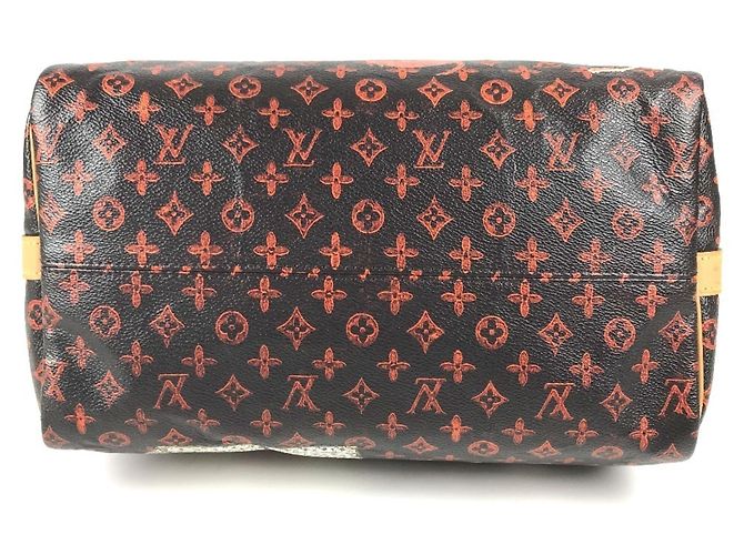 Louis Vuitton Monogram Catgram Cat Speedy Bandoulière 30NM Marrone Arancione - vista 6