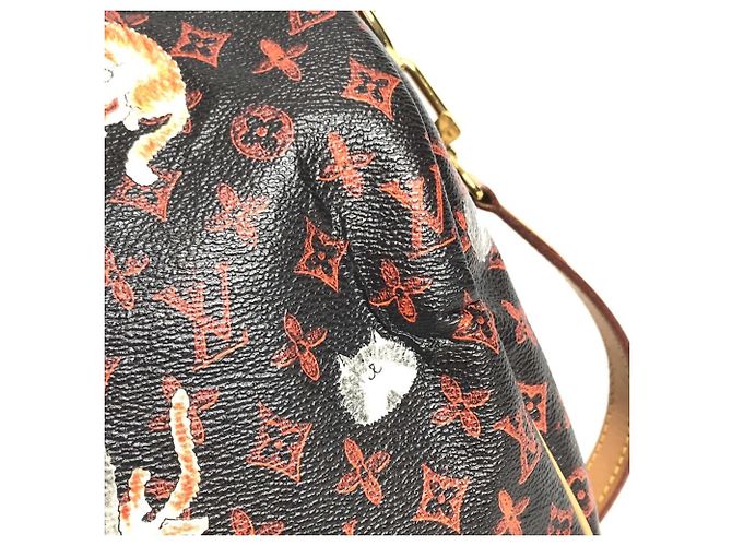 Louis Vuitton Monogram Catgram Cat Speedy Bandoulière 30NM Marrone Arancione - vista 9