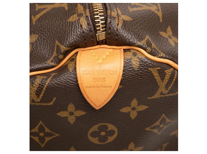 Louis Vuitton Brown Monogram Speedy 40 Marrone - vista 5
