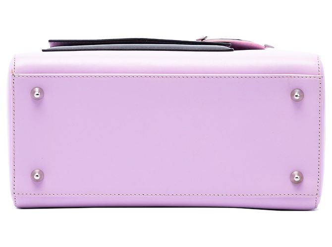 Autre Marque Dior Purple Medium Calfskin Pockets Lady Dior Porpora - vista 3