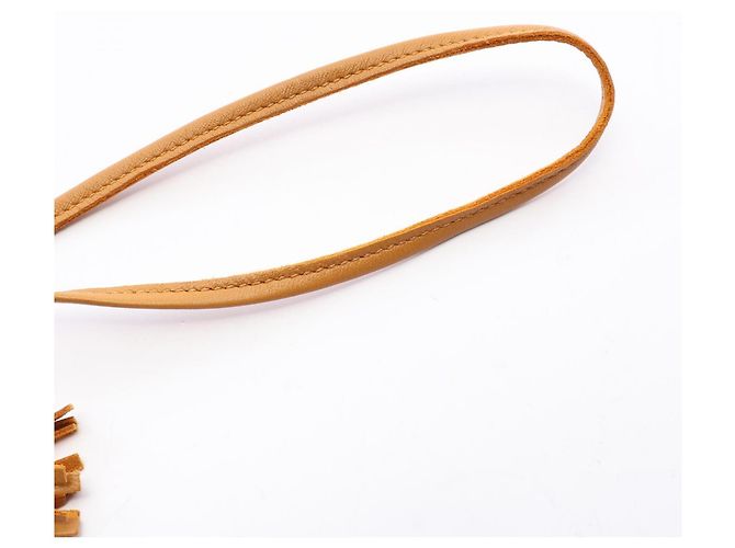 Hermès Hermes Rodeo Pegasus PM Charm Marron Bleu Vert - vue 6