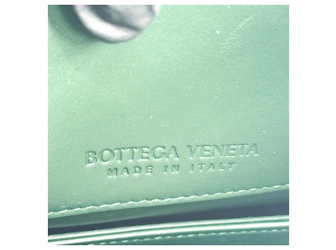 Bottega Veneta Mount Leather Medium Verde - vista 6