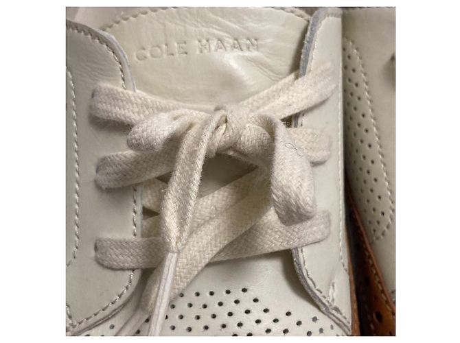 Autre Marque Scarpe Cole Haan Wingtip Oxford Marrone - vista 12