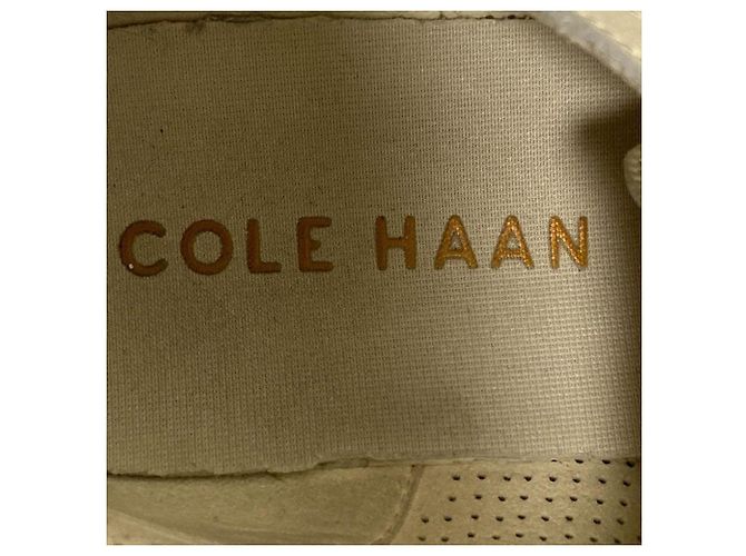 Autre Marque Scarpe Cole Haan Wingtip Oxford Marrone - vista 7