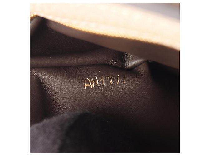 Bolsa Louis Vuitton Capucines PM Parnasséa Bege - vista 5