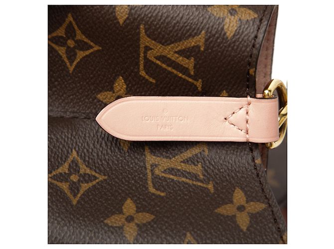 Néonoé Louis Vuitton Brown Monogram Neonoe MM Braun - Ansicht 5