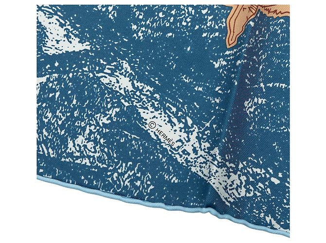 Foulard in seta Hermès Blue Amis Pour La Vie 45 - vista 7