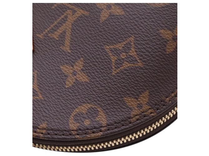 Louis Vuitton Brown Monogram Alma PM Marron - vue 8