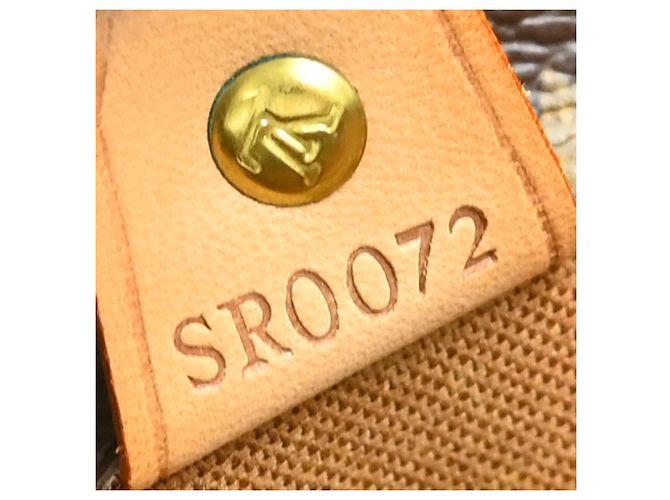 Louis Vuitton Vavin Monogram Canvas GM Marron - vue 5