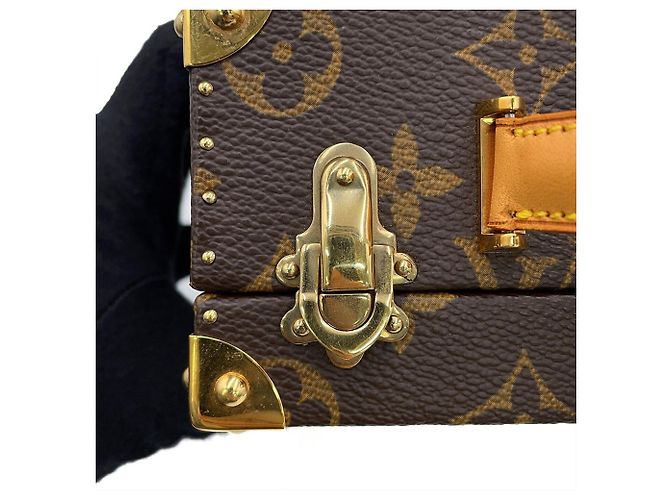 Louis Vuitton Monogram Onion Head Hülle von Takashi Murakami Braun Mehrfarben - Ansicht 10