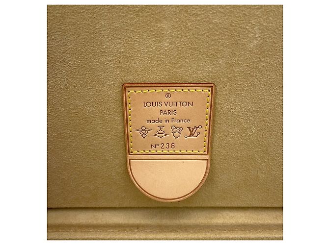 Louis Vuitton Monogram Onion Head Hülle von Takashi Murakami Braun Mehrfarben - Ansicht 15