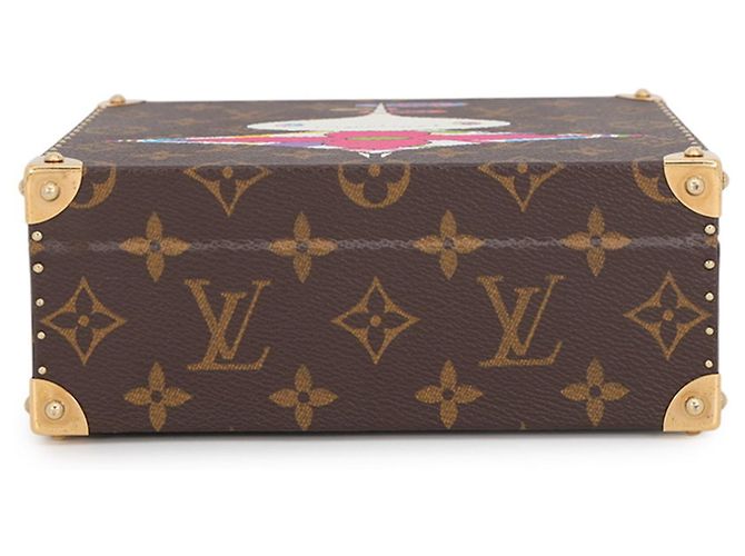 Louis Vuitton Monogram Onion Head Hülle von Takashi Murakami Braun Mehrfarben - Ansicht 3