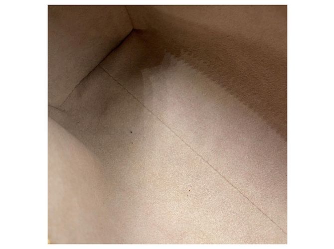 Borsa Louis Vuitton in pelle di vitello grana Taupe - vista 11