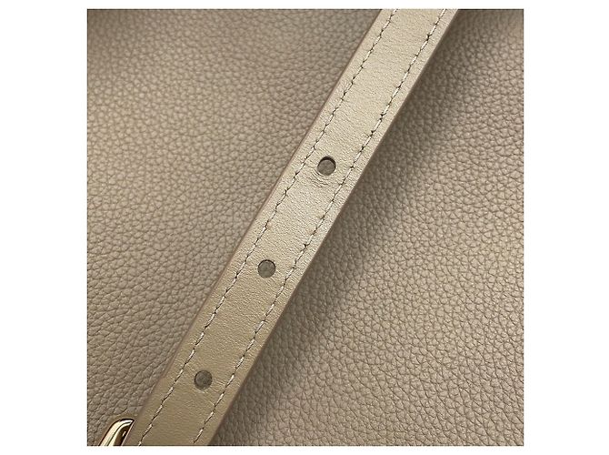Borsa Louis Vuitton in pelle di vitello grana Taupe - vista 15