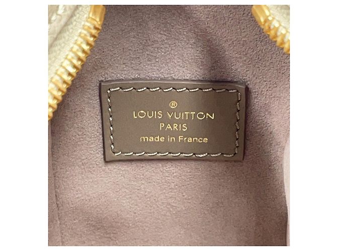 Borsa Louis Vuitton in pelle di vitello grana Taupe - vista 17