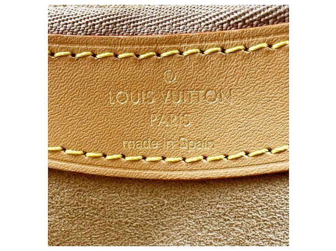 Louis Vuitton Schultertasche Cozygram Diane NM PM Braun Roh Monogramm - Ansicht 12