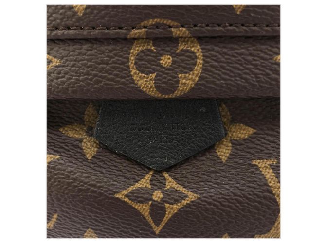 Louis Vuitton Monogram Palm Springs Backpack MINI M44873 Marron - vue 4