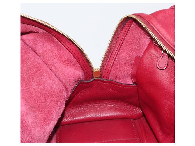 Borsa a mano LOEWE Amazona 36 in pelle rossa e oro autentica 206725A Rosso D'oro - vista 24