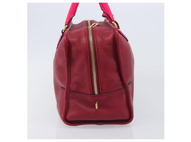 Borsa a mano LOEWE Amazona 36 in pelle rossa e oro autentica 206725A Rosso D'oro - vista 3