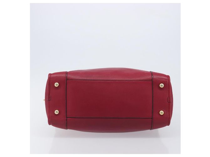 Borsa a mano LOEWE Amazona 36 in pelle rossa e oro autentica 206725A Rosso D'oro - vista 5