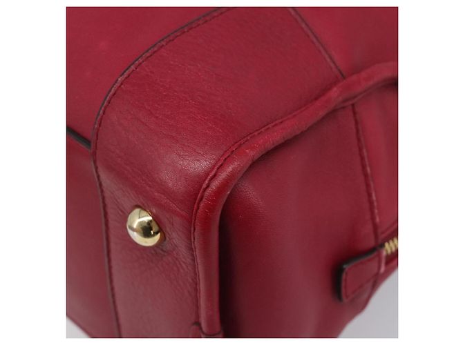Borsa a mano LOEWE Amazona 36 in pelle rossa e oro autentica 206725A Rosso D'oro - vista 9