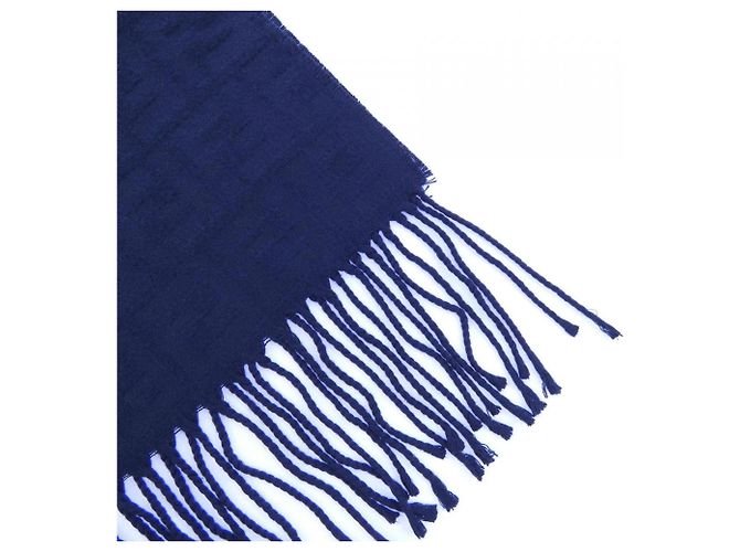 Stola Fendi FXS124 ADSC Blu Navy - vista 2