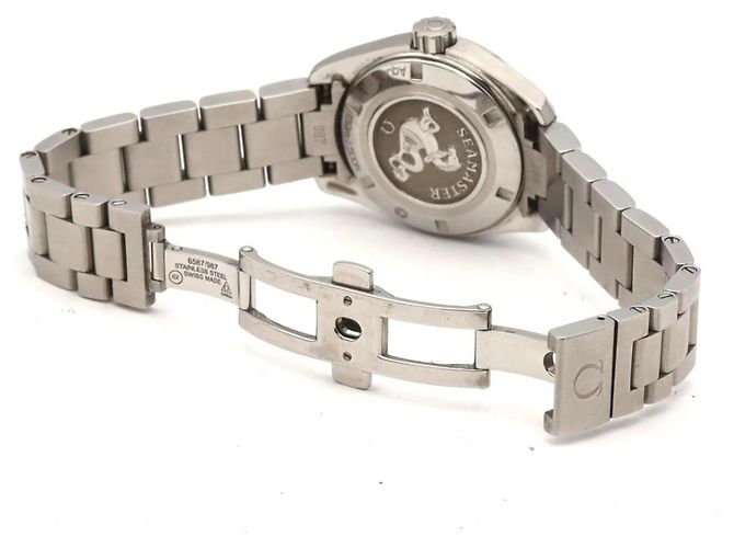 Orologio da polso Omega Seamaster Aqua Terra Quartz - vista 6