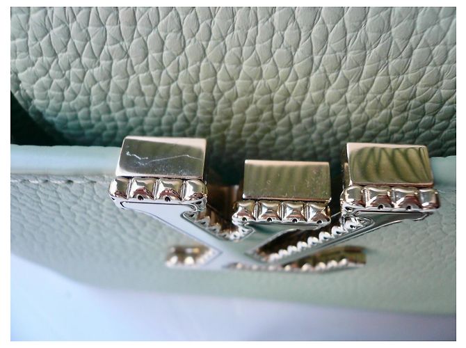 Louis Vuitton Mini Capucines Crafty Edición Limitada Verde Jade M15157 Verde claro - vista 17