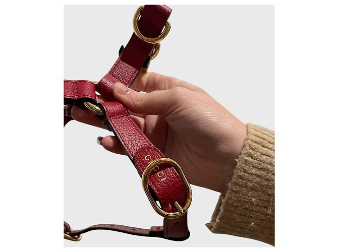 Pettorina per cani e gatti Gucci Rosso - vista 2