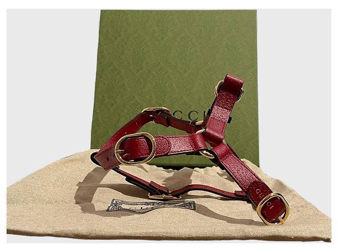 Pettorina per cani e gatti Gucci Rosso - vista 3