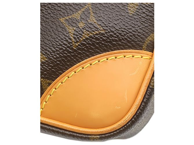 Bolso bandolera Louis Vuitton Monogram Amazone Marrón Castaño - vista 11
