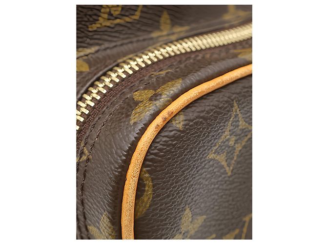 Bolso bandolera Louis Vuitton Monogram Amazone Marrón Castaño - vista 13