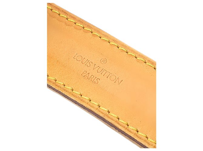 Bolso bandolera Louis Vuitton Monogram Amazone Marrón Castaño - vista 5