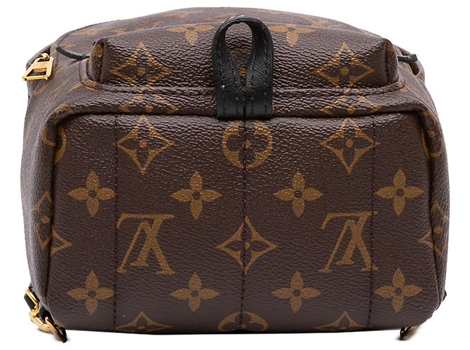 Mochila Mini Palm Springs Louis Vuitton Monogram Marrón Castaño - vista 3