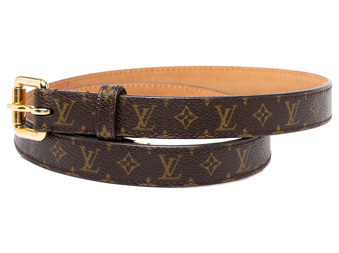 Brown Louis Vuitton Monogram Ellipse Belt - view 2