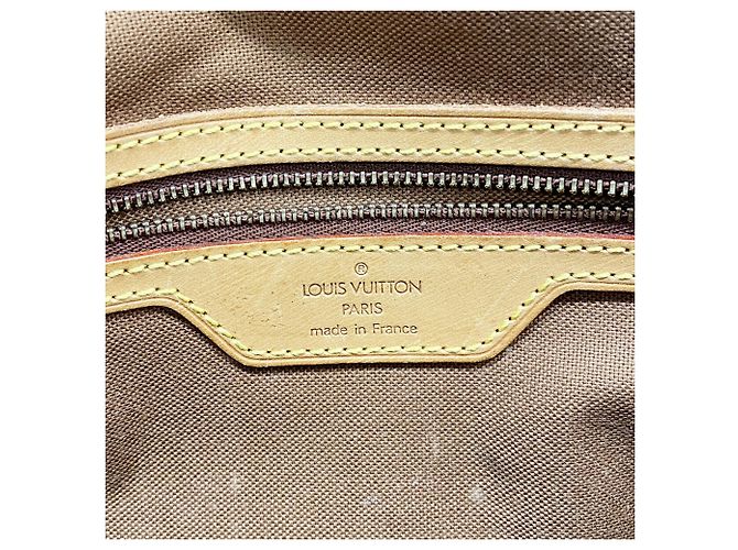 Bolso de hombro Louis Vuitton Monogram Sologne Castaño - vista 5