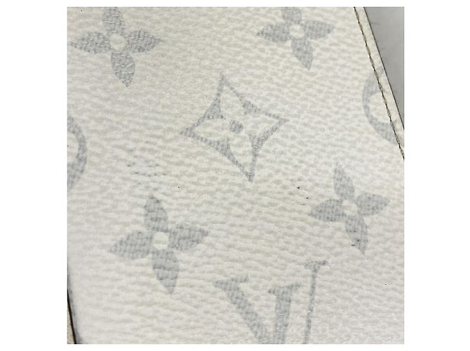 Louis Vuitton Taigarama Zippy Wallet Vertical M30446 White - view 7