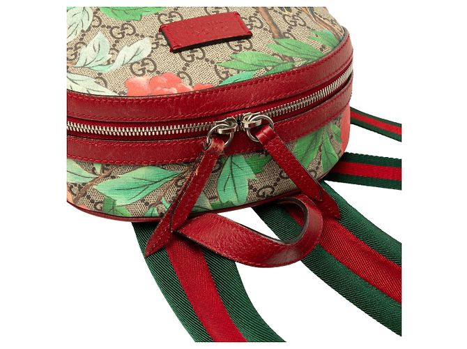 Gucci Beige Small GG Supreme Web Tian Rucksack - Ansicht 6