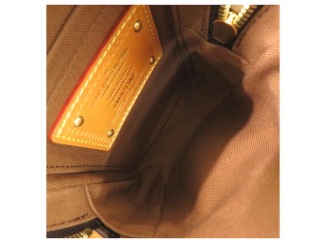Bolsa de Ombro Louis Vuitton Amazon Monogram Marrom Monograma - vista 5