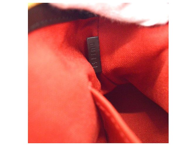 Louis Vuitton Verona Damier PM Marrone - vista 5