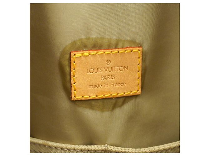 Louis Vuitton Boston Damier Géant Souverain Bag - view 5