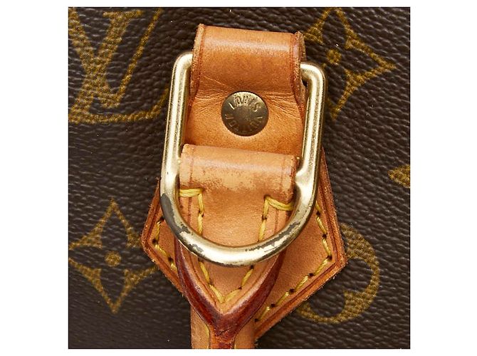 Borsa Louis Vuitton Alma PM M51130 Marrone - vista 8