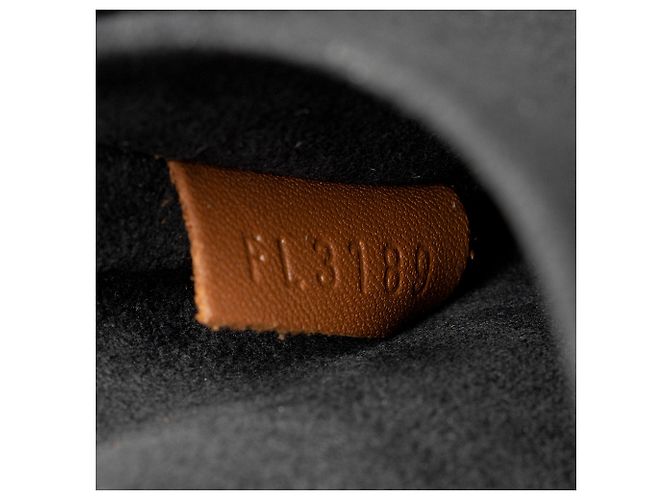 Sac à épaule Louis Vuitton Reverse Monogram Dauphine MM Marron - vue 6