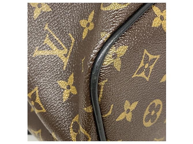 Mochila Louis Vuitton Monogram Macassar Parc Marrom - vista 6