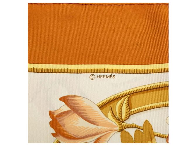 Hermès Hermes Carre 90 Carabes Foulard Uccello dei Caraibi Marrone - vista 5