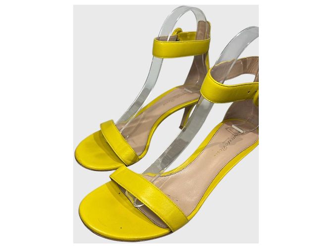 Sandali Gianvito Rossi gialli T.37,5 Giallo - vista 5